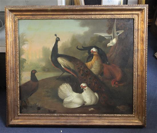 Follower Marmaduke Craddock (1660-1717) Peacock and exotic poultry in a landscape 24.5 x 29.5in.